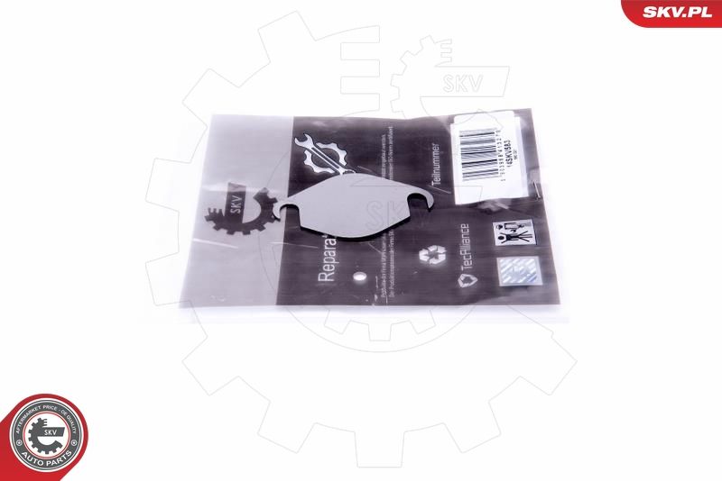 Repair Set, EGR valve ESEN SKV 14SKV583
