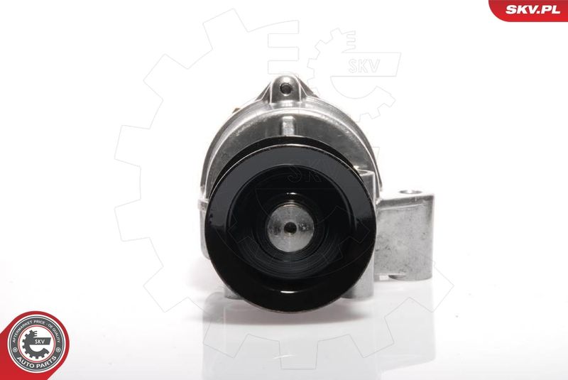 Vacuum Pump, braking system ESEN SKV 18SKV002
