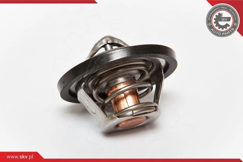 Termostatas, aušinimo skystis ESEN SKV 20SKV015