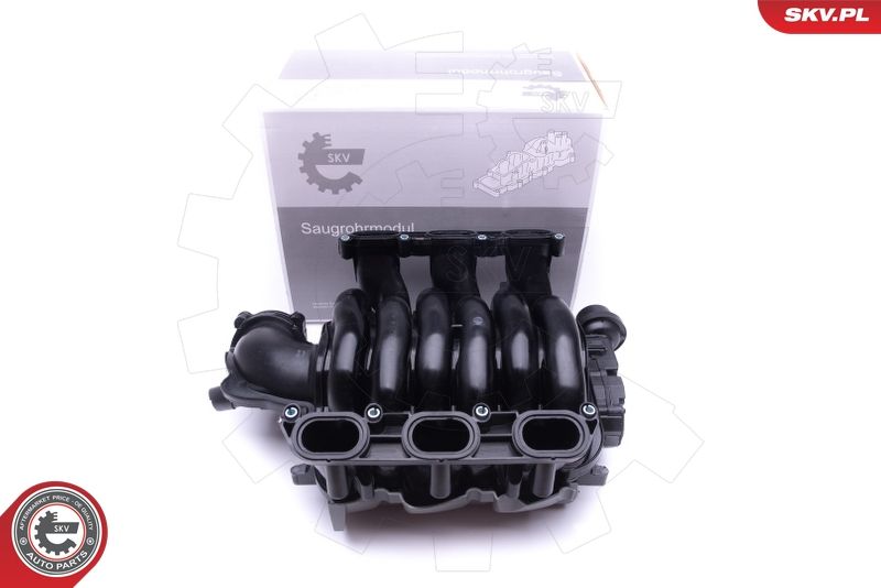 Intake Manifold Module ESEN SKV 49SKV002