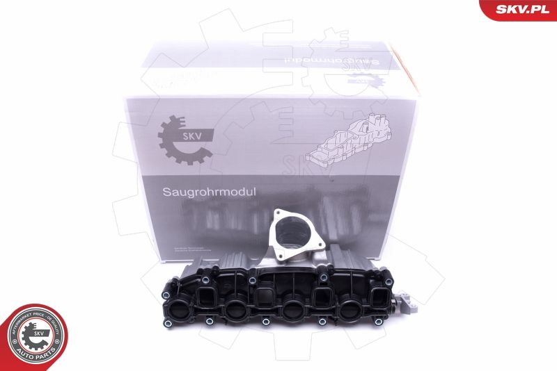 Intake Manifold Module ESEN SKV 49SKV006