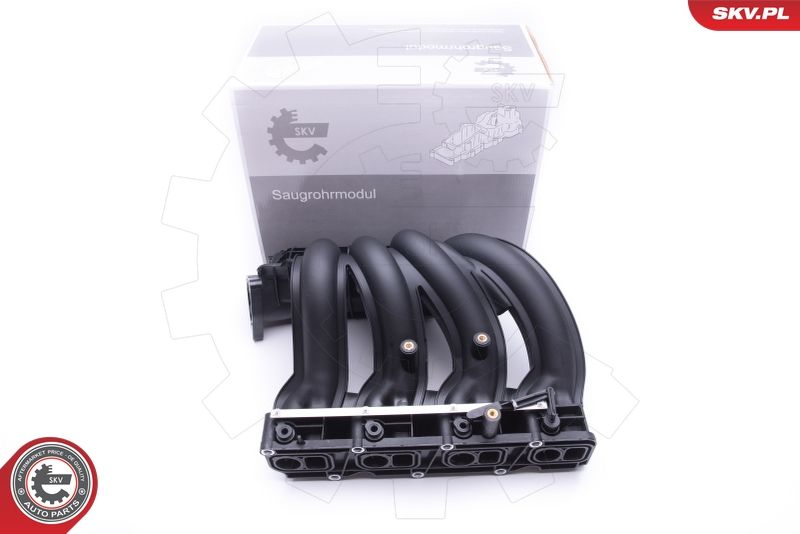 Intake Manifold Module ESEN SKV 49SKV011