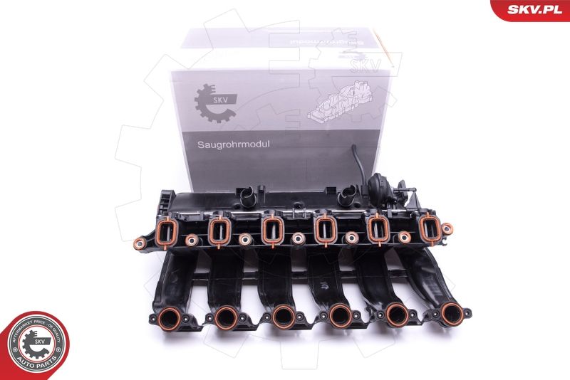 Module de collecteur d'admission ESEN SKV 49SKV016