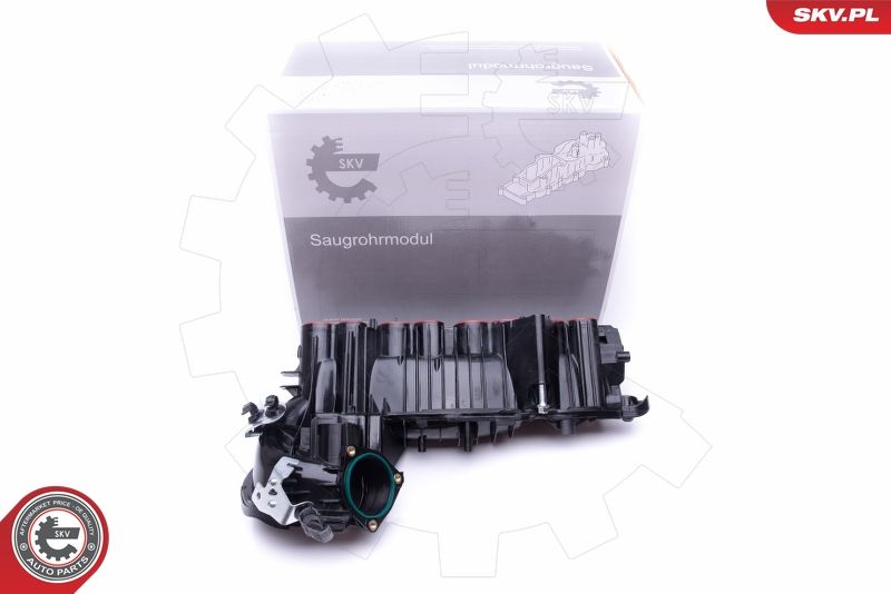 Intake Manifold Module ESEN SKV 49SKV020