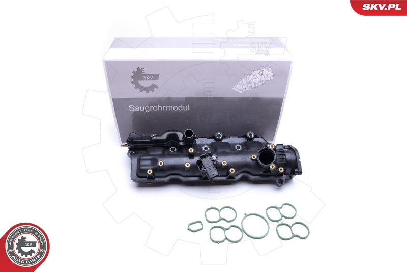 Intake Manifold Module ESEN SKV 49SKV024