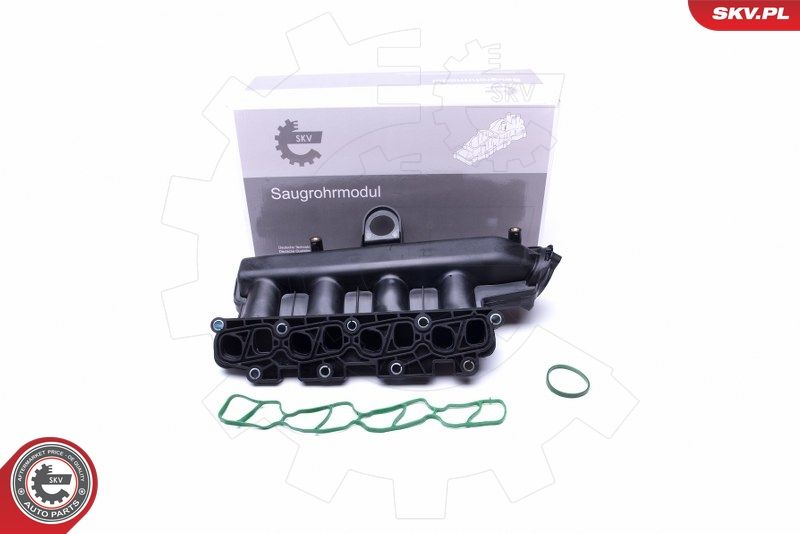 Intake Manifold Module ESEN SKV 49SKV038