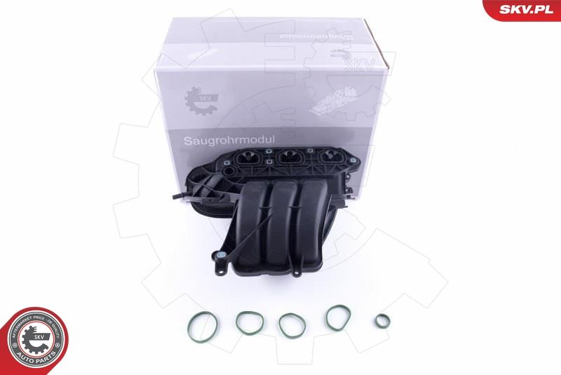 Module de collecteur d'admission ESEN SKV 49SKV056