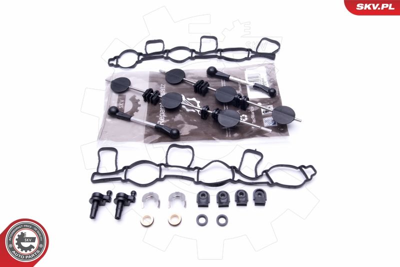 Repair Kit, intake manifold module ESEN SKV 49SKV500