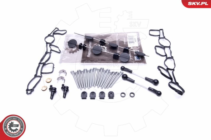 Repair Kit, intake manifold module ESEN SKV 49SKV501