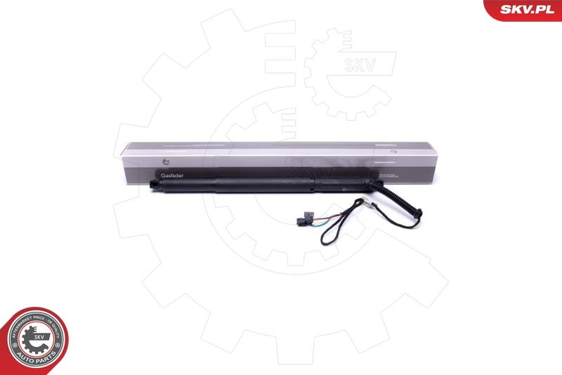 Електродвигун, кришка багажника ESEN SKV 52SKV925
