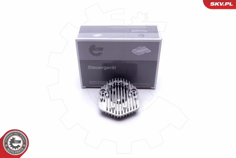 Valdymo blokas, žibintai ESEN SKV 59SKV079