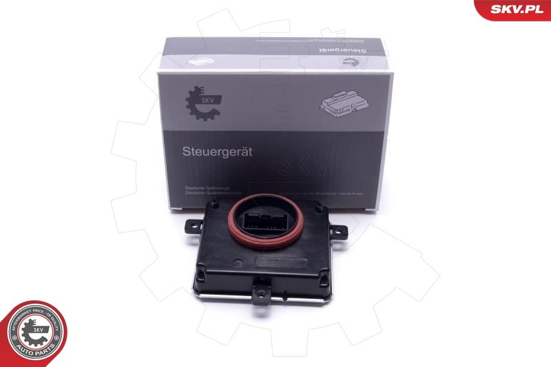 Control Unit, lights ESEN SKV 59SKV165