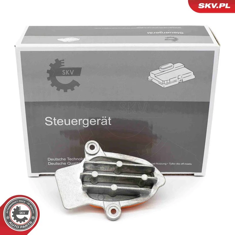 Control Unit, lights ESEN SKV 59SKV243