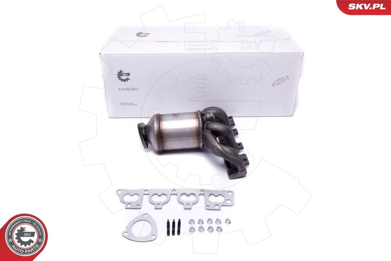 Catalytic Converter ESEN SKV 62SKV006