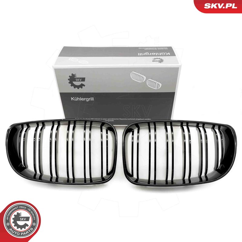 Radiator Grille ESEN SKV 66SKV009