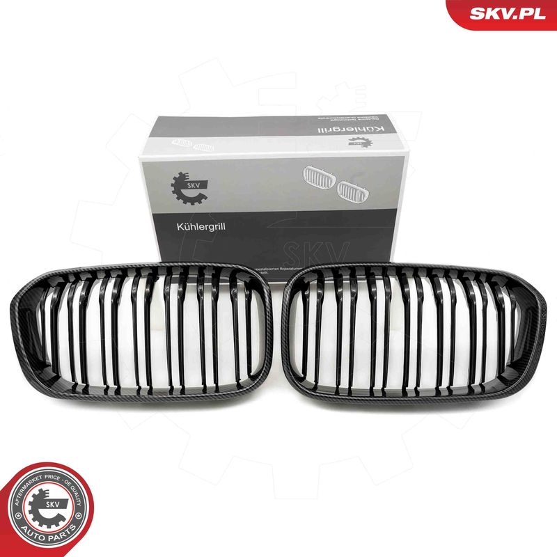 Radiator Grille ESEN SKV 66SKV019