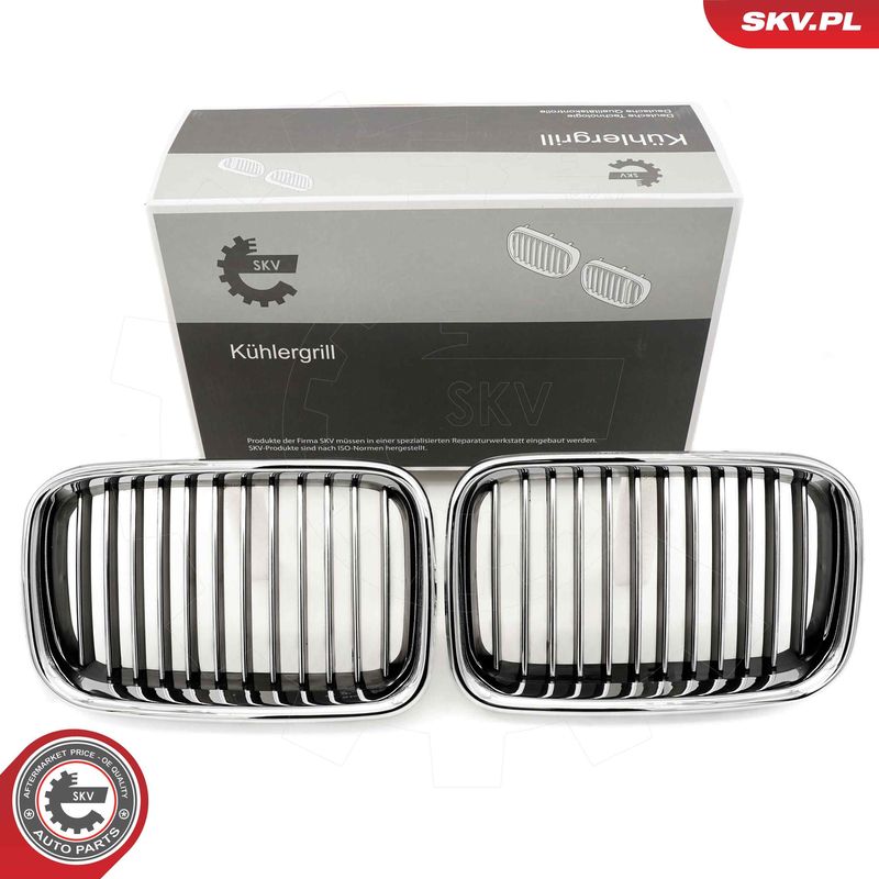 Radiator Grille ESEN SKV 66SKV044