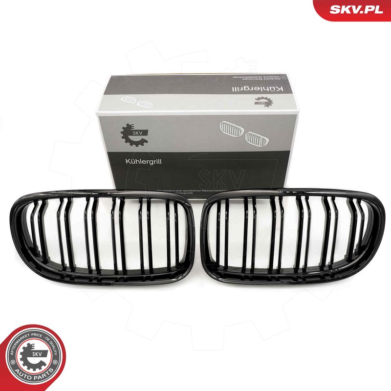 Radiator Grille ESEN SKV 66SKV099