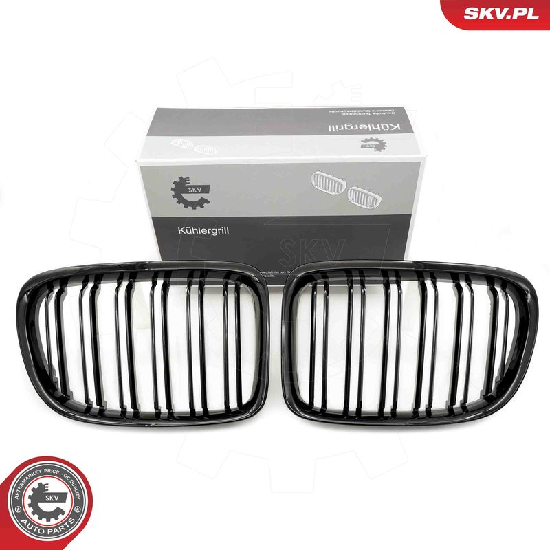 Radiator Grille ESEN SKV 66SKV233