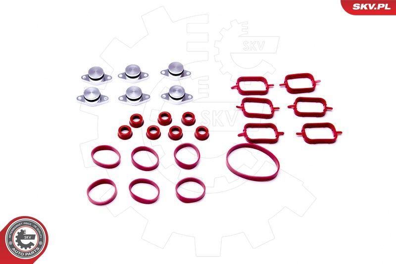 Gasket Set, intake manifold ESEN SKV 96SKV052