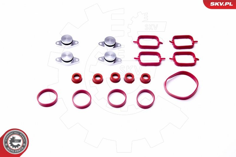 Gasket Set, intake manifold ESEN SKV 96SKV054