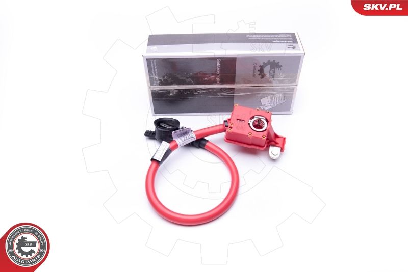 Adaptateur de batterie ESEN SKV 96SKV301