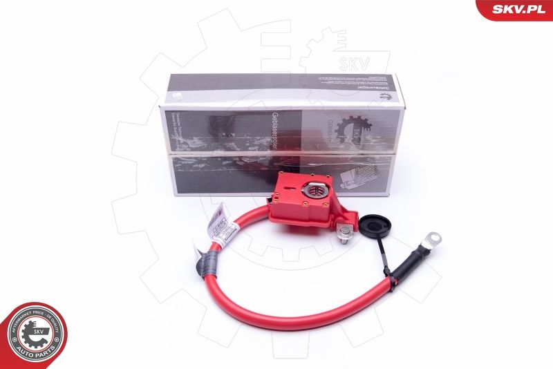 Adaptateur de batterie ESEN SKV 96SKV302