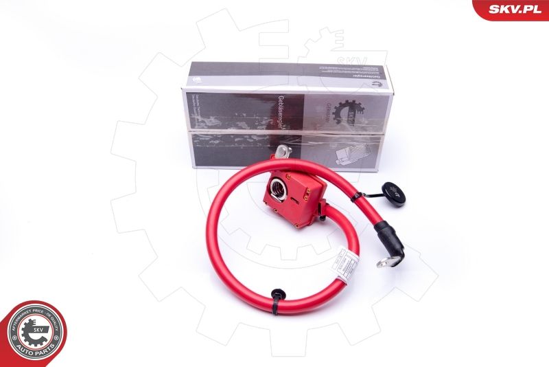 Adaptateur de batterie ESEN SKV 96SKV305