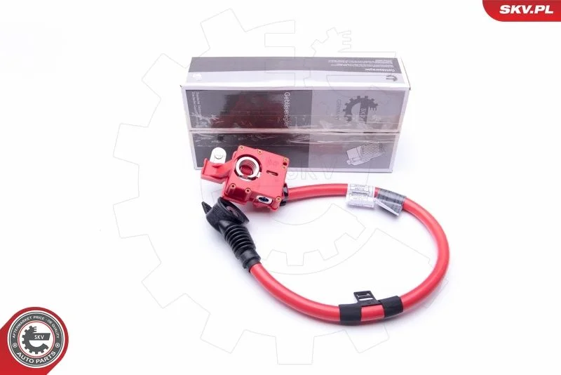 Akumuliatoriaus adapteris ESEN SKV 96SKV306