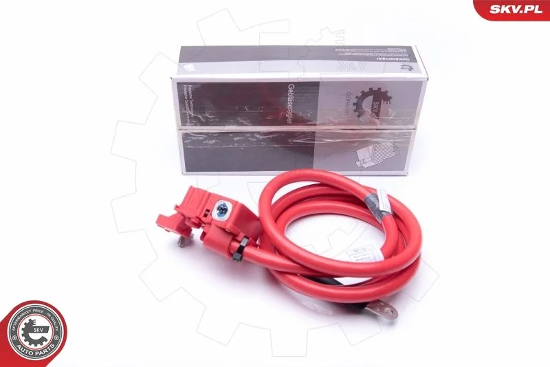 Akumuliatoriaus adapteris ESEN SKV 96SKV308