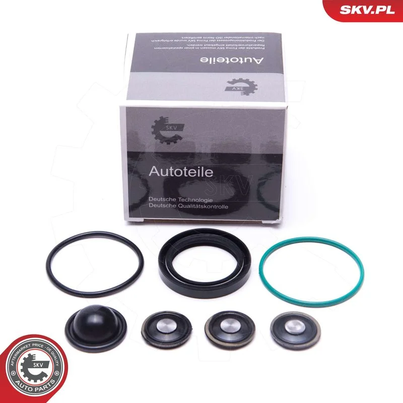 Repair Kit, fuel pump ESEN SKV 96SKV933