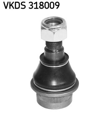 Šarnyras / girgždukas SKF VKDS318009