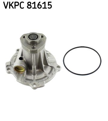 Vandens siurblys, variklio aušinimas SKF VKPC81615