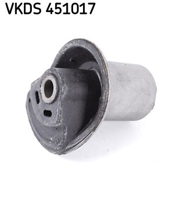Ašies korpusas SKF VKDS 451017