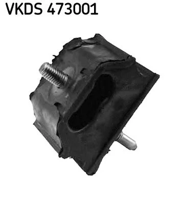 Ašies korpusas SKF VKDS 473001