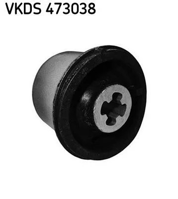Ašies korpusas SKF VKDS 473038