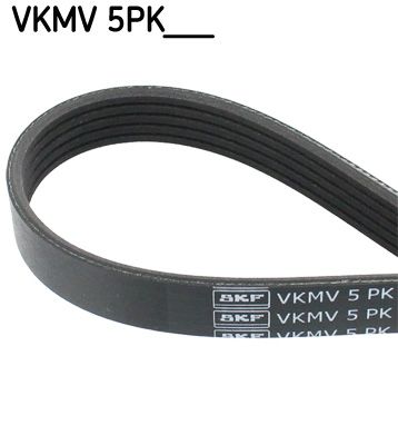 V formos rumbuoti diržai SKF VKMV5PK1004