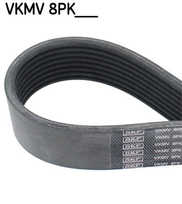 V-Ribbed Belt SKF VKMV8PK2035