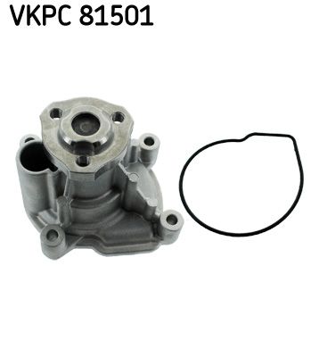 Vandens siurblys, variklio aušinimas SKF VKPC81501