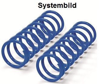 Papildoma spyruoklė Westfalia 406369500001