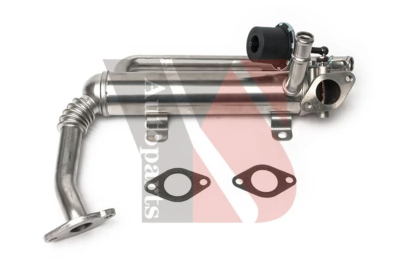 ERG modulis YSPARTS EGR220C