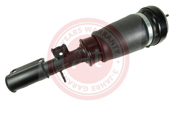 Air Suspension Strut at autoteile germany at10510