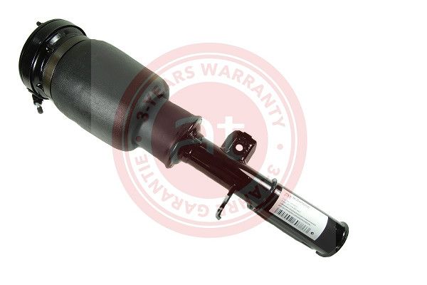 Air Suspension Strut at autoteile germany at10511