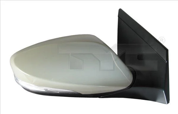 Išorinis veidrodėlis TYC 313-0084