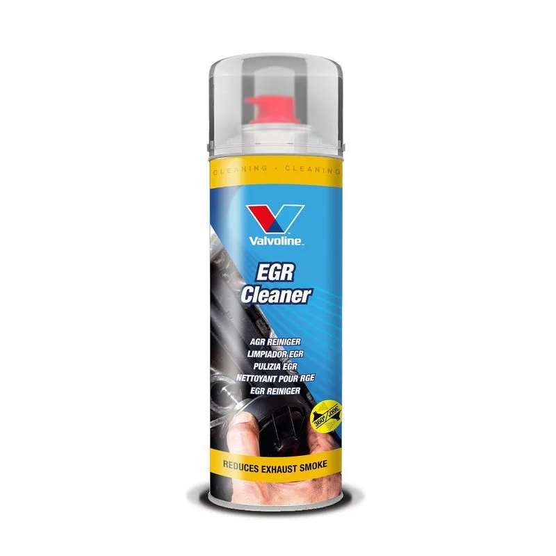 Universalus variklis EGR CLEANER 887071