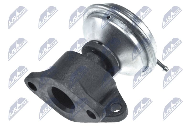 EGR Valve NTY EGR-AU-016