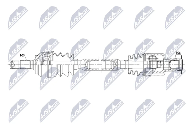 Pusašis NTY NPW-CT-174
