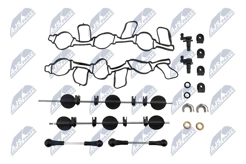 Intake Manifold Module NTY BKS-AU-001A