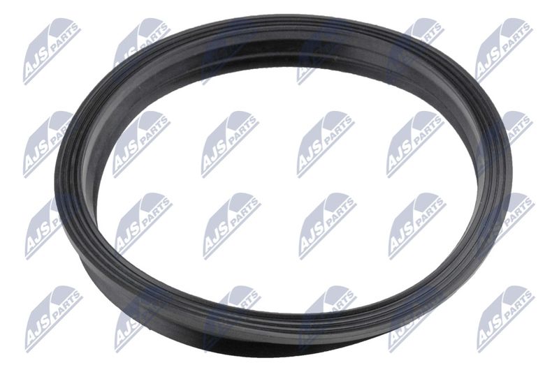 Gasket, fuel pump NTY BPP-VW-005