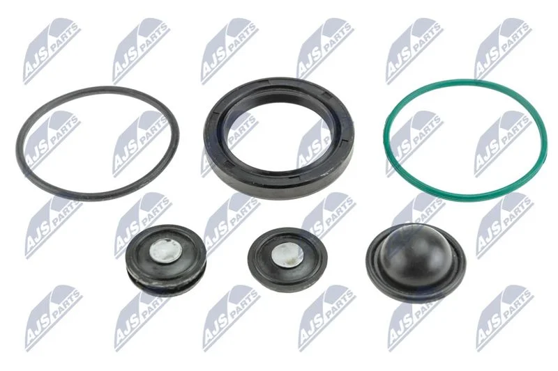 Repair Kit, fuel pump NTY BWP-PL-004